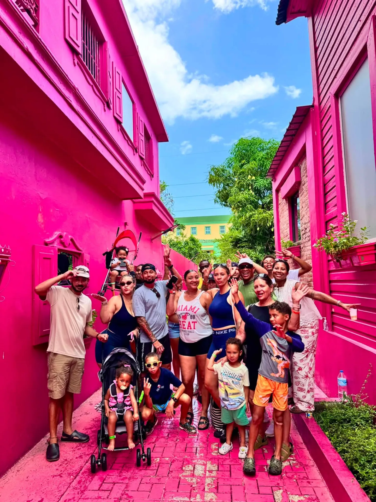 Waterfalls Damajagua & City Tour — image 3