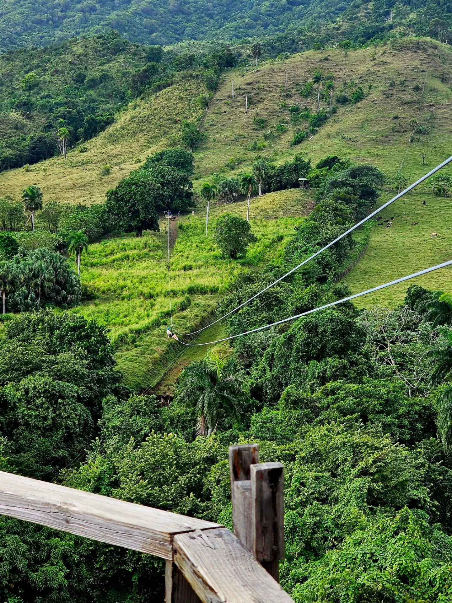 City Tour & Zip Line — image 3