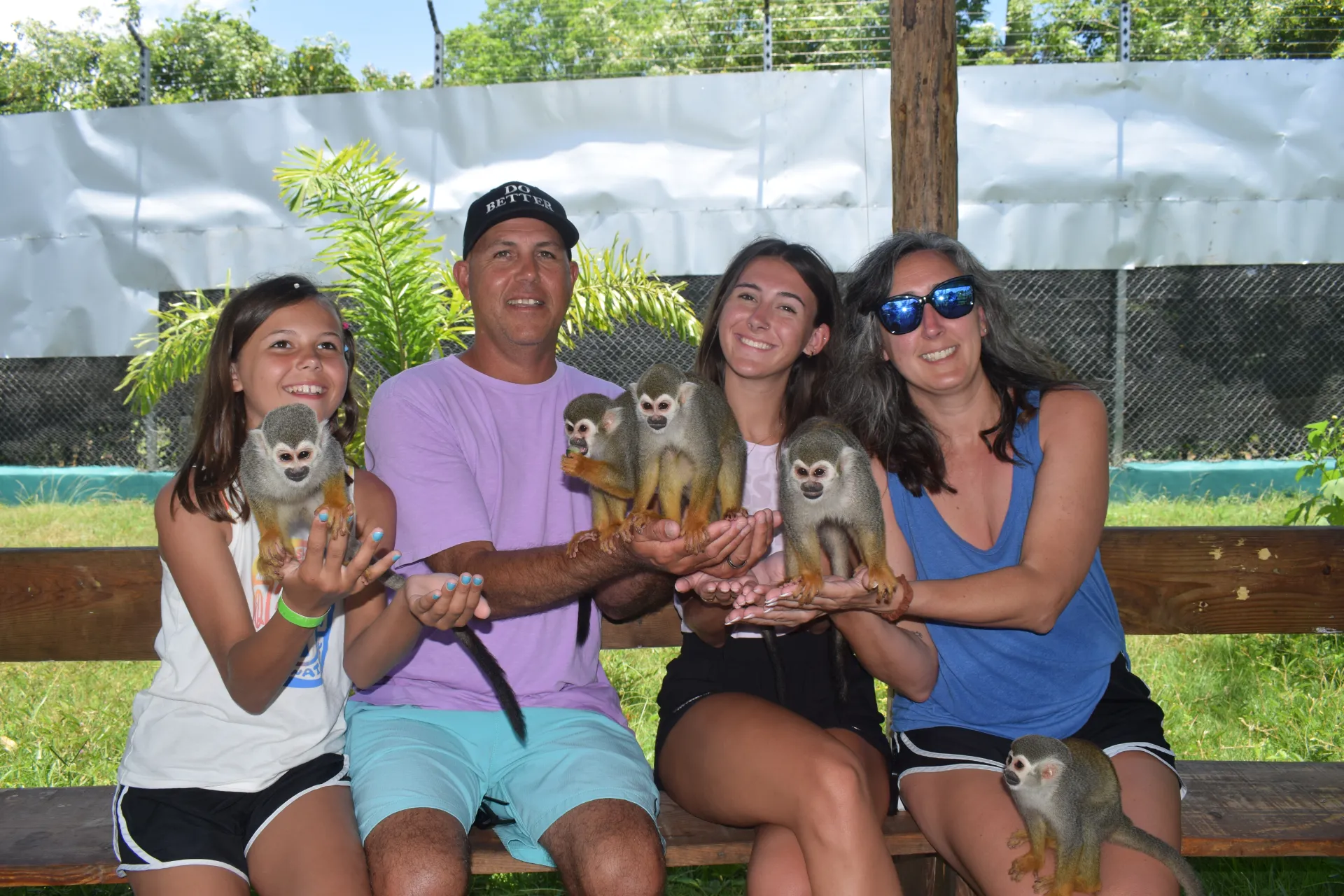 Monkeys Home — image 1