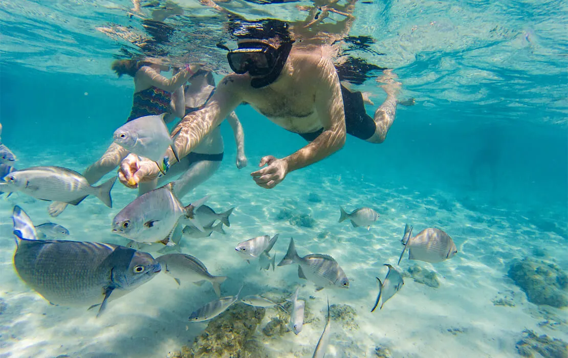 Catalina Island Snorkeling Paradise
