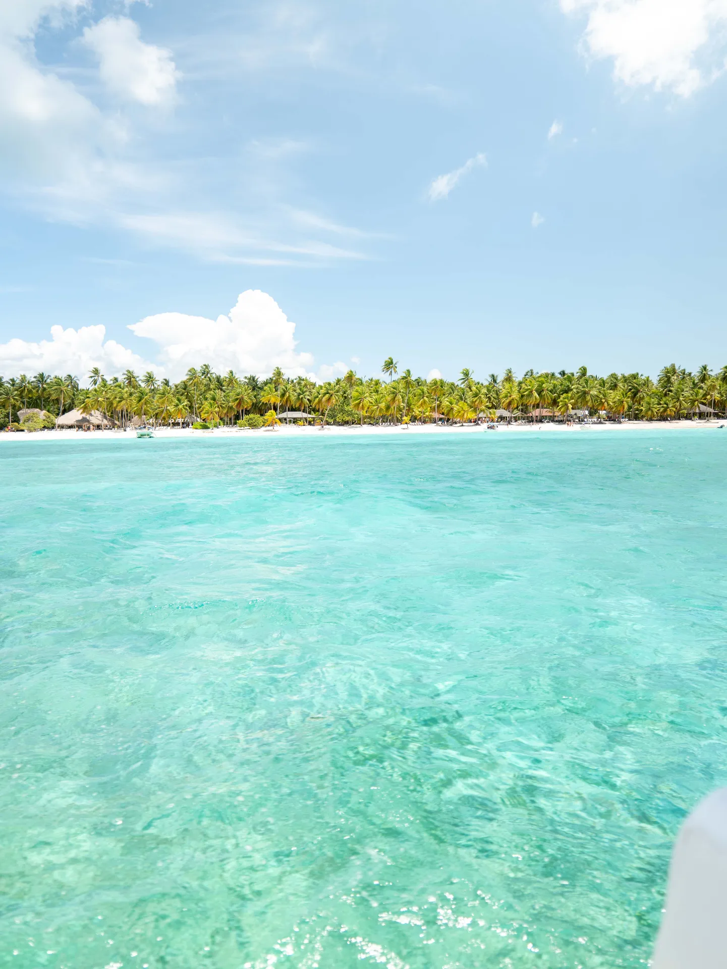 Saona Island (From Punta Cana) — image 3