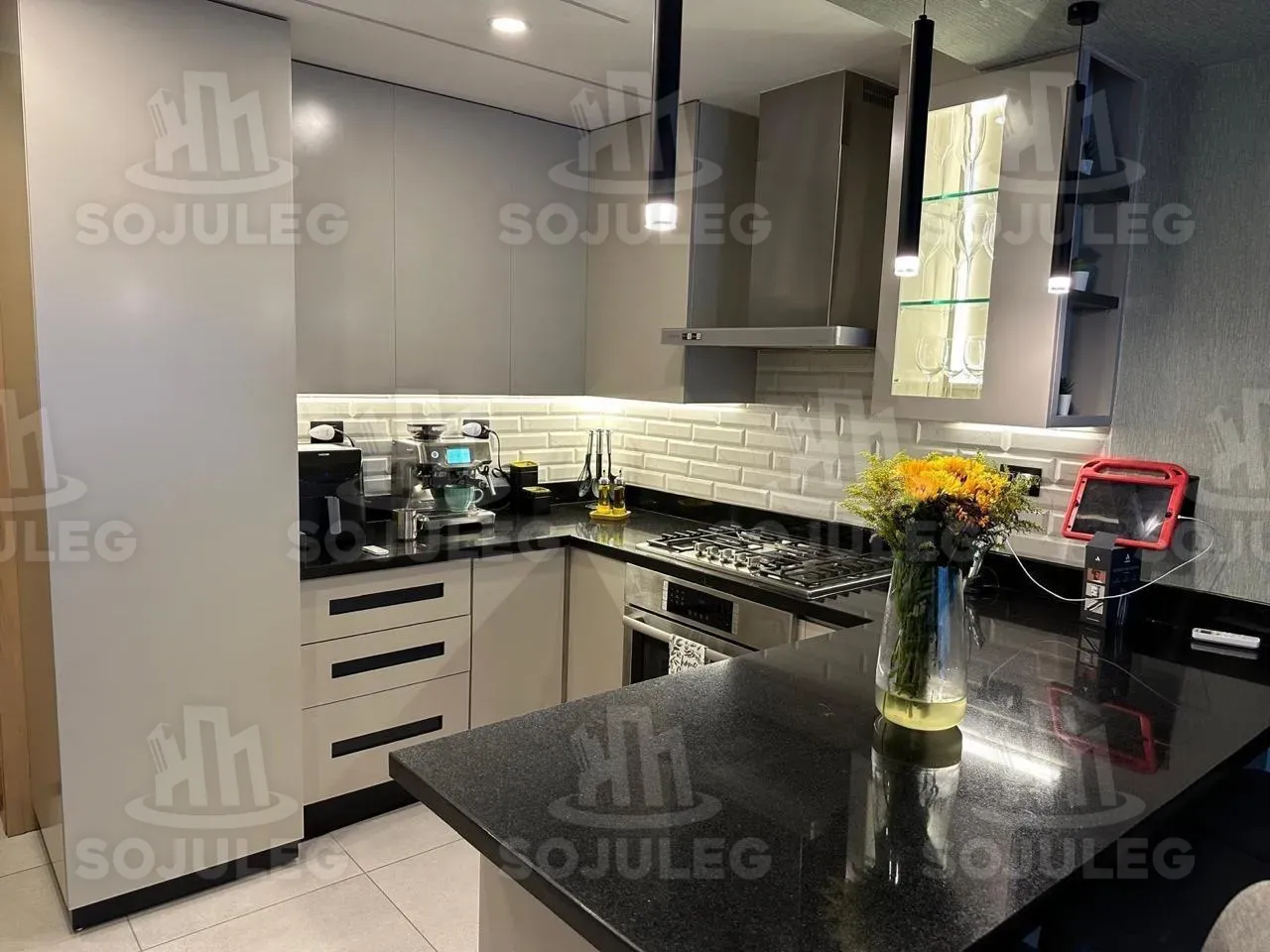 Elegante y moderno Penthouse en venta — 4